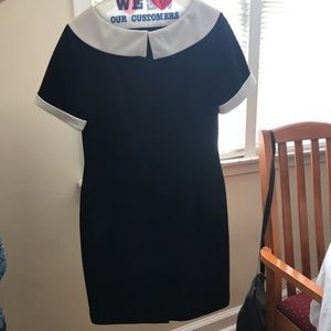 Women’s Ann Taylor Dress